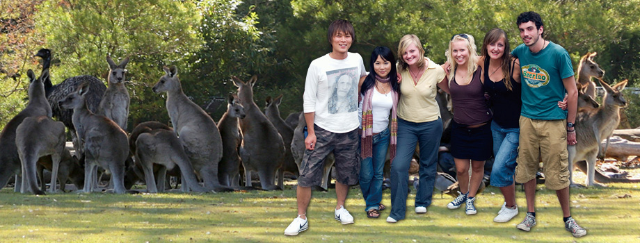 Lone Pine Koala Sanctuary